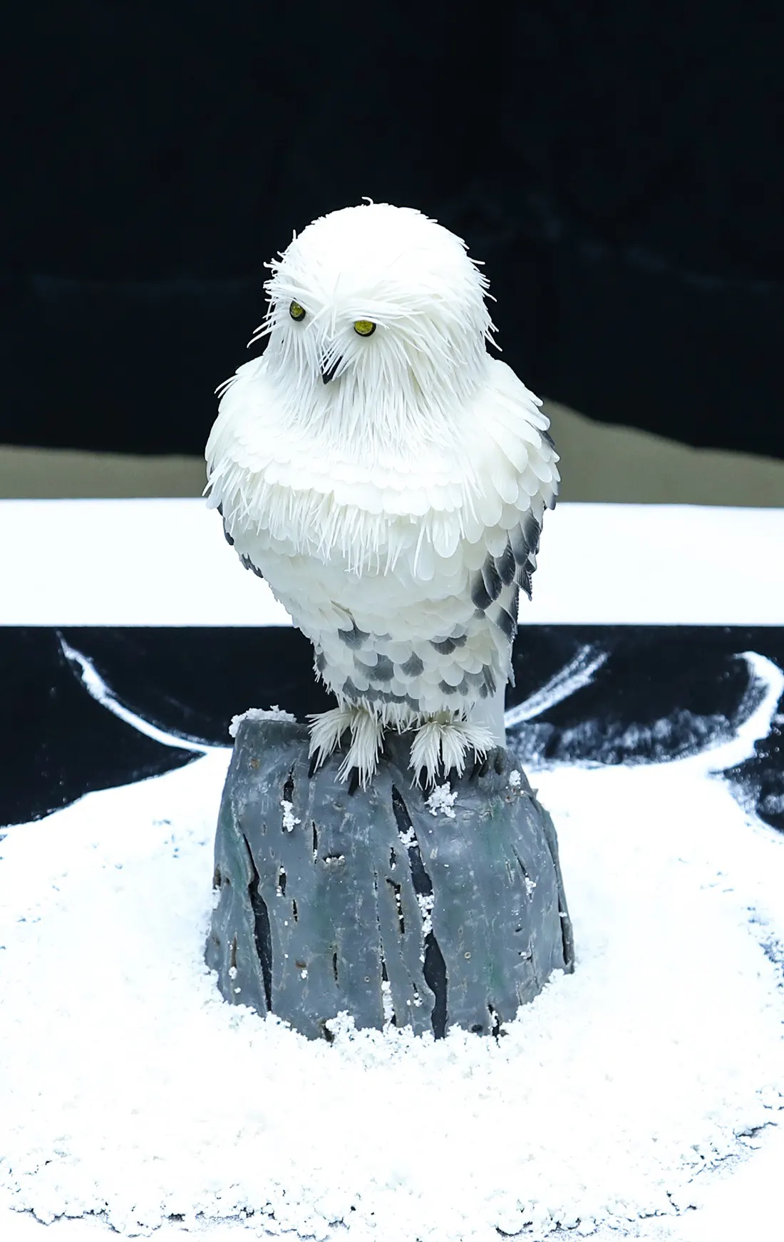 福来郎　不苦労